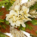 34868423 Decor/Faux Florals/Wreaths & Garlands