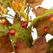 34868444 Decor/Faux Florals/Wreaths & Garlands