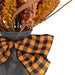 35182610 Holiday/Thanksgiving & Fall/Thanksgiving & Fall Tableware and Decor
