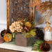 35182616 Holiday/Thanksgiving & Fall/Thanksgiving & Fall Tableware and Decor