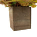 35182616 Holiday/Thanksgiving & Fall/Thanksgiving & Fall Tableware and Decor
