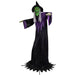 35764804 Holiday/Halloween/Halloween Outdoor Decor