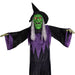 35764804 Holiday/Halloween/Halloween Outdoor Decor