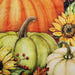 35766483 Holiday/Thanksgiving & Fall/Thanksgiving & Fall Tableware and Decor