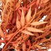 35688252 Decor/Faux Florals/Wreaths & Garlands