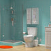 005 Parts & Maintenance/Toilet Parts/Toilet Tanks Only