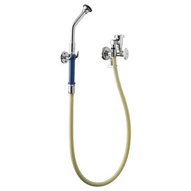 Wall-Mount Bedpan Cleaner Assembly with Volume Regular/Vacuum Breaker