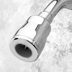 1660.710.002 Bathroom/Bathroom Tub & Shower Faucets/Showerheads