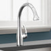 04066000 Kitchen/Kitchen Faucets/Pull Out Spray Faucets