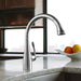 04066860 Kitchen/Kitchen Faucets/Pull Out Spray Faucets