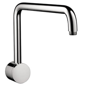 Raindance Wall-Mount Swivel Shower Arm and Flange