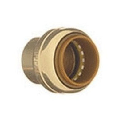 Product Image: Tube Cap 3/4 Inch Lead Free Push Fit 250 Degrees Fahrenheit