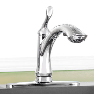 4353-DST Kitchen/Kitchen Faucets/Pull Out Spray Faucets