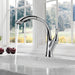 4153-DST Kitchen/Kitchen Faucets/Pull Out Spray Faucets