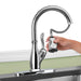 9178-DST Kitchen/Kitchen Faucets/Pull Down Spray Faucets