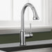 04215800 Kitchen/Kitchen Faucets/Pull Down Spray Faucets