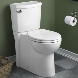 3075000.020 Parts & Maintenance/Toilet Parts/Toilet Bowls Only