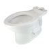 3195A101.020 Parts & Maintenance/Toilet Parts/Toilet Bowls Only