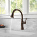 9197-RB-DST Kitchen/Kitchen Faucets/Pull Down Spray Faucets