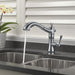 4197-AR-DST Kitchen/Kitchen Faucets/Pull Out Spray Faucets