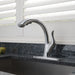 4153-AR-DST Kitchen/Kitchen Faucets/Pull Out Spray Faucets
