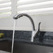 4153-AR-DST Kitchen/Kitchen Faucets/Pull Out Spray Faucets