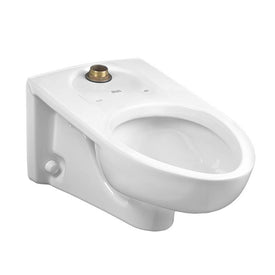 Afwall Millennium Wall-Mount FloWise Elongated Flushometer Toilet Bowl
