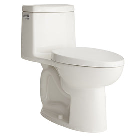 Loft Right Height Elongated 1-Piece Toilet with Seat