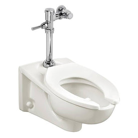 Afwall Millenium Wall-Mount Elongated Toilet with Manual Flush Valve 1.28 GPF