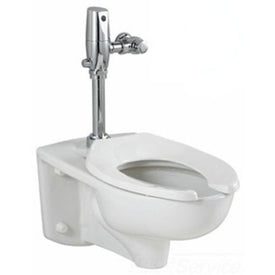 Afwall Millenium FloWise Dual-Flush Wall-Mount Elongated Toilet with DC Flushometer