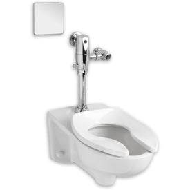 Afwall Millenium FloWise Wall-Mount Elongated Toilet with DC Flushometer
