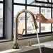 64025LF-PC Kitchen/Kitchen Faucets/Pull Down Spray Faucets