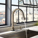 64025LF-PC Kitchen/Kitchen Faucets/Pull Down Spray Faucets