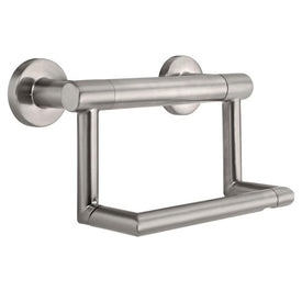 Contemporary Toilet Paper Holder with Assist Bar