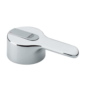 Replacement Lever Handle with Cover Cap