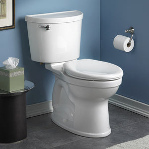 211AA.004.020 Bathroom/Toilets Bidets & Bidet Seats/Two Piece Toilets