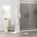 211AA.004.021 Bathroom/Toilets Bidets & Bidet Seats/Two Piece Toilets