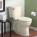 211BA.004.222 Bathroom/Toilets Bidets & Bidet Seats/Two Piece Toilets