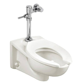 Afwall Millenium Wall-Mount Elongated Toilet with Manual Flush Valve 1.1 GPF