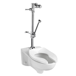 6047.820.002 General Plumbing/Commercial/Toilet Flushometers