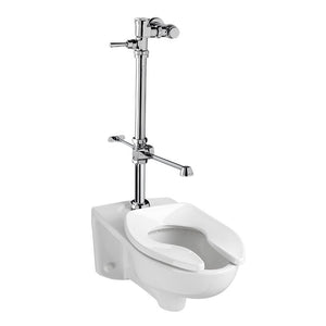6047.820.002 General Plumbing/Commercial/Toilet Flushometers