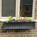 4841-B Outdoor/Lawn & Garden/Window Boxes