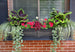 5824-B Outdoor/Lawn & Garden/Window Boxes
