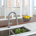 9159T-AR-DST Kitchen/Kitchen Faucets/Pull Down Spray Faucets
