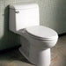 2004314.020 Bathroom/Toilets Bidets & Bidet Seats/One Piece Toilets