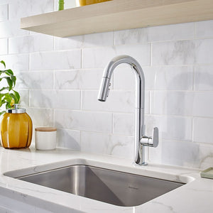 4931.300.075 Kitchen/Kitchen Faucets/Pull Down Spray Faucets