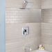 1660509.013 Bathroom/Bathroom Tub & Shower Faucets/Showerheads