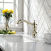 4197-PN-DST Kitchen/Kitchen Faucets/Pull Out Spray Faucets