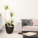 8879-ES Outdoor/Lawn & Garden/Planters
