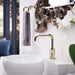 65035LF-PN Bathroom/Bathroom Sink Faucets/Single Hole Sink Faucets